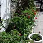 Kraybrezhna 3 게스트하우스 4*