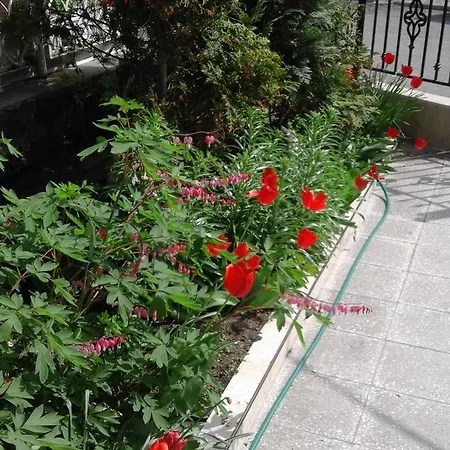 крайбрежна 3 Къща за гости Поморие