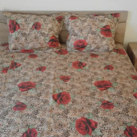 Affittacamere Kraybrezhna 3 4*