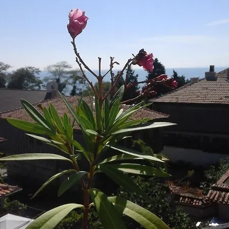 Affittacamere Kraybrezhna 3 4*