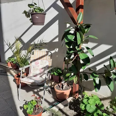 Kraybrezhna 3 Affittacamere Pomorie