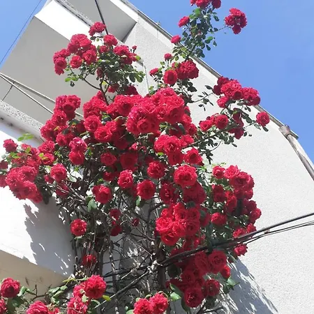Kraybrezhna 3 Penzion Pomorie