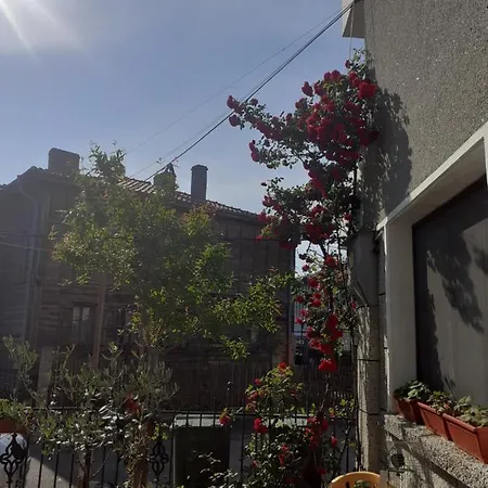 Kraybrezhna 3 Affittacamere