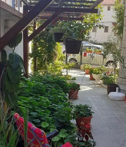 Kraybrezhna 3 招待所 帕莫瑞