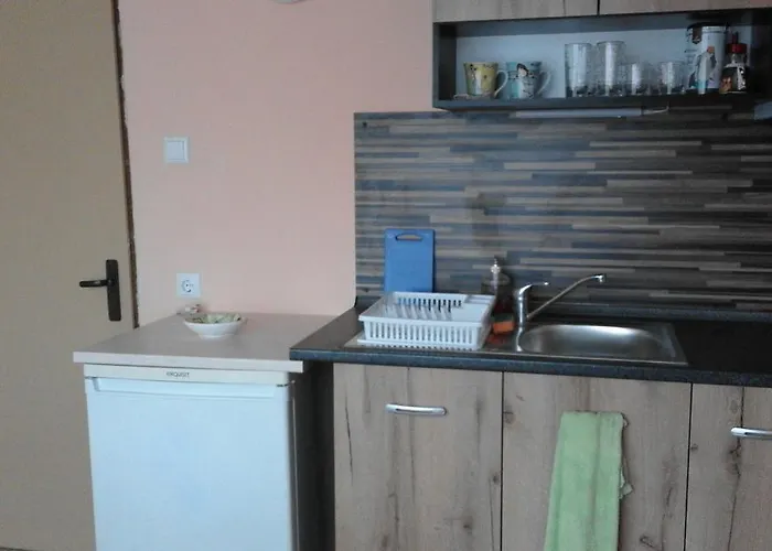 招待所 Kraybrezhna 3 4*