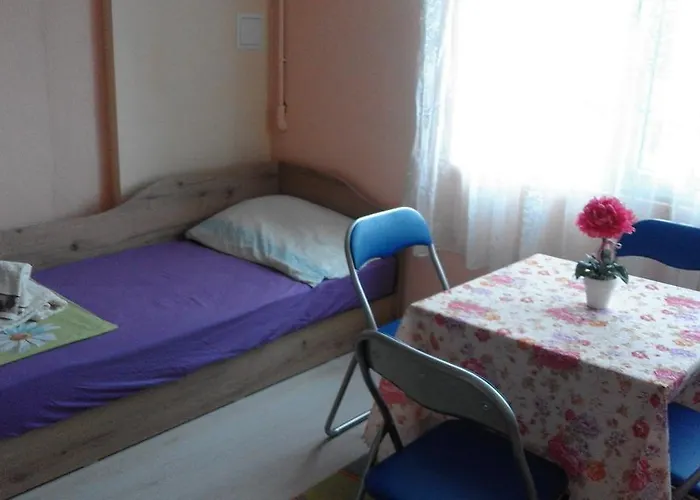 招待所 Kraybrezhna 3 帕莫瑞