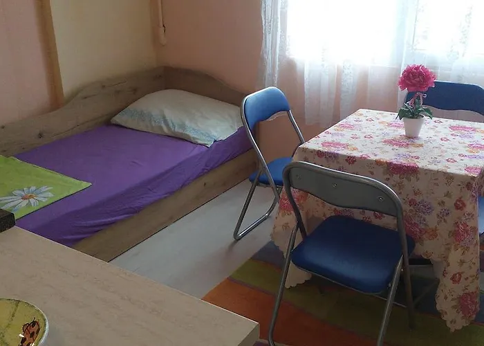 Kraybrezhna 3 招待所 帕莫瑞