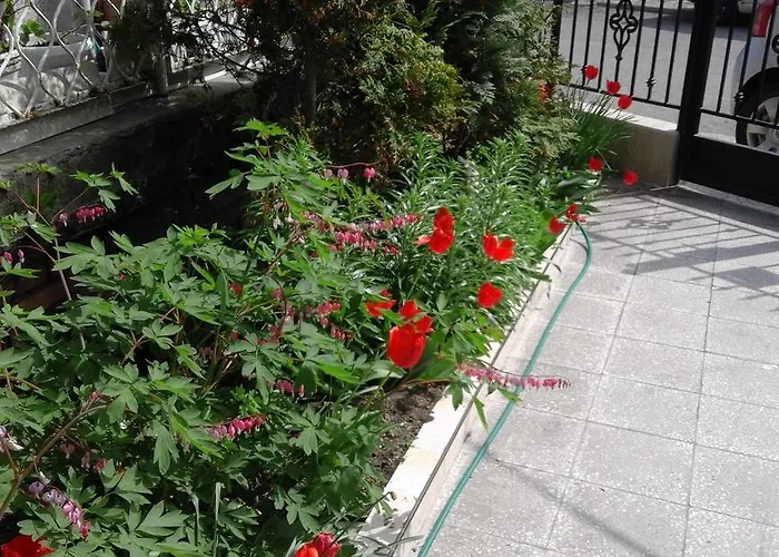 Kraybrezhna 3 招待所 帕莫瑞