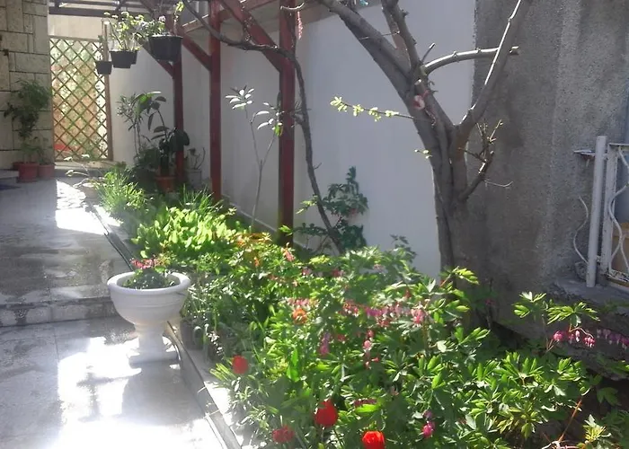 Kraybrezhna 3 帕莫瑞