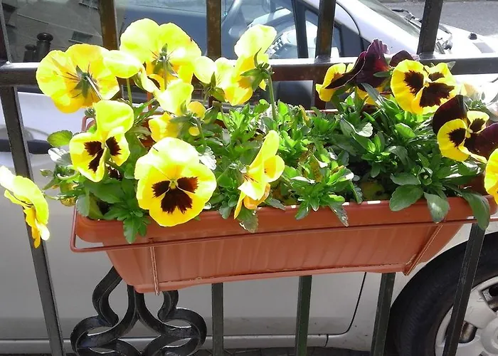 Kraybrezhna 3 招待所 帕莫瑞