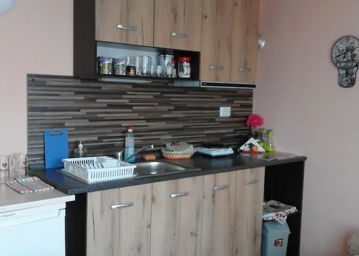 招待所 Kraybrezhna 3 4*