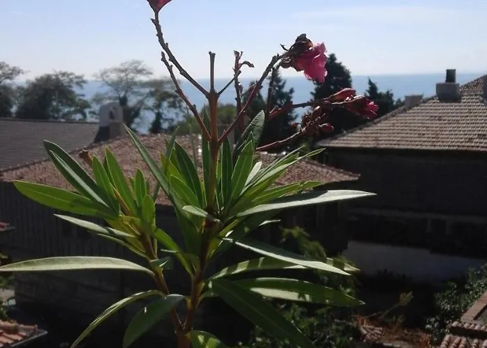 招待所 Kraybrezhna 3 4*