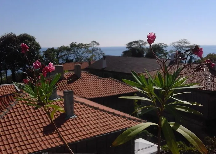 招待所 Kraybrezhna 3 帕莫瑞