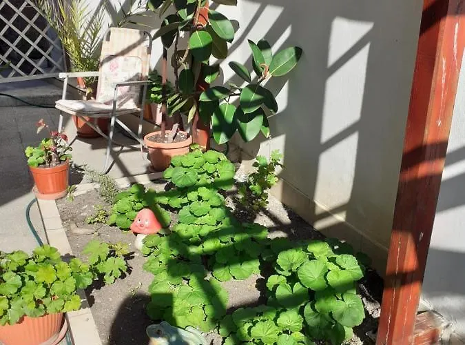 招待所 Kraybrezhna 3 4*