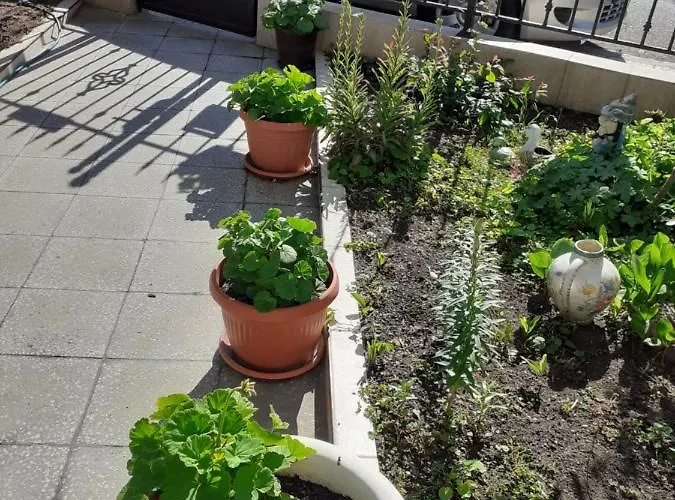 Kraybrezhna 3 게스트하우스 포마리