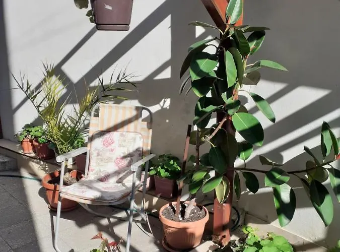 Kraybrezhna 3 招待所 帕莫瑞