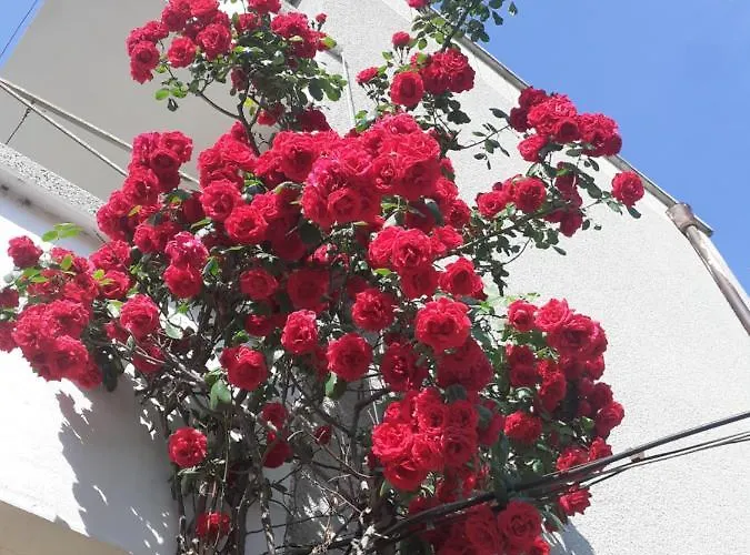 Kraybrezhna 3 招待所 帕莫瑞