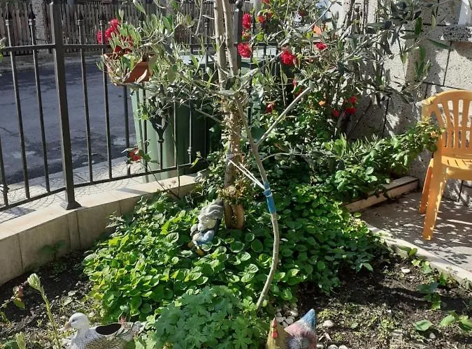 Kraybrezhna 3 招待所 4*